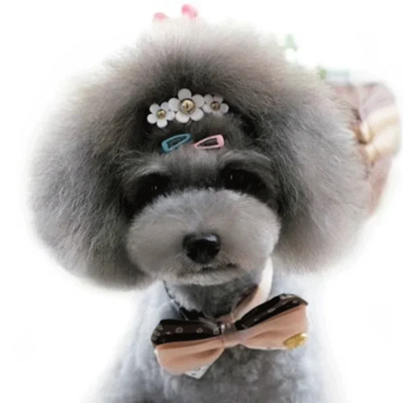 5 pz/set Coreano Mini 2 centim - Vintage Fashion Doll recensione e prezzo